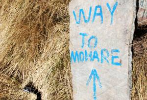 Mohare Danda Trek : A Short Trek from Pokhara