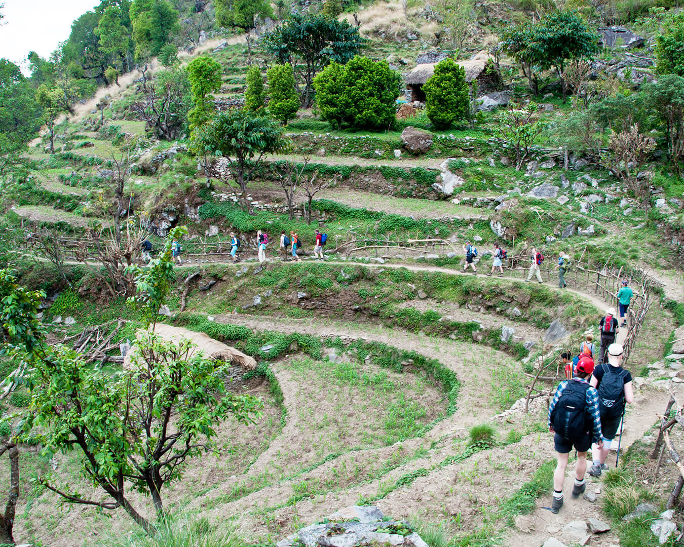 Helembu Circuit Trekking