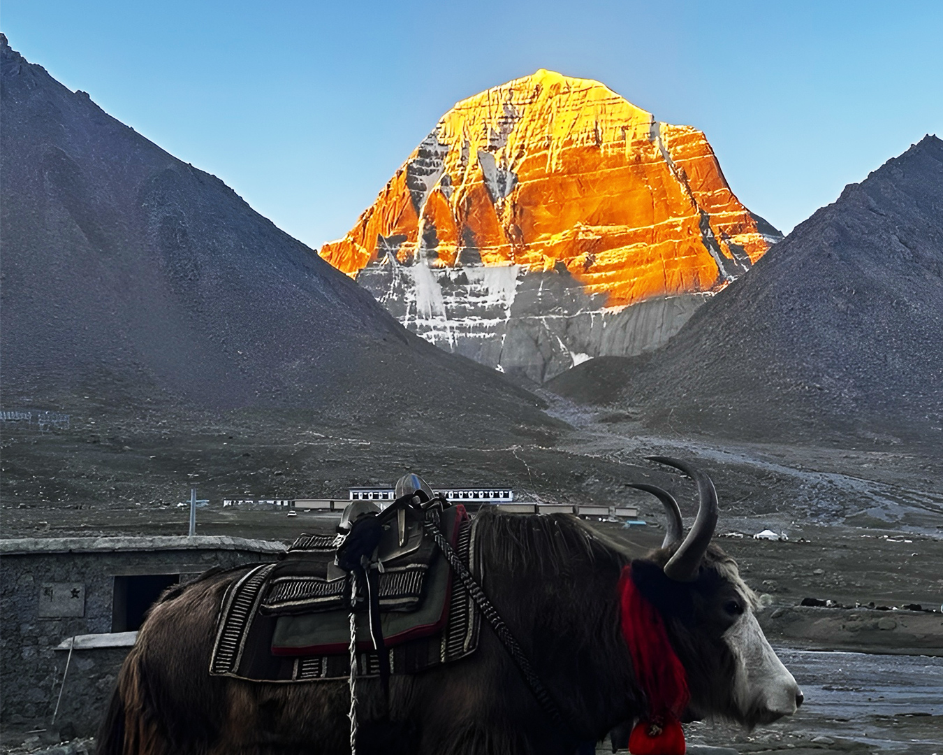 mt kailash mansarovar tour