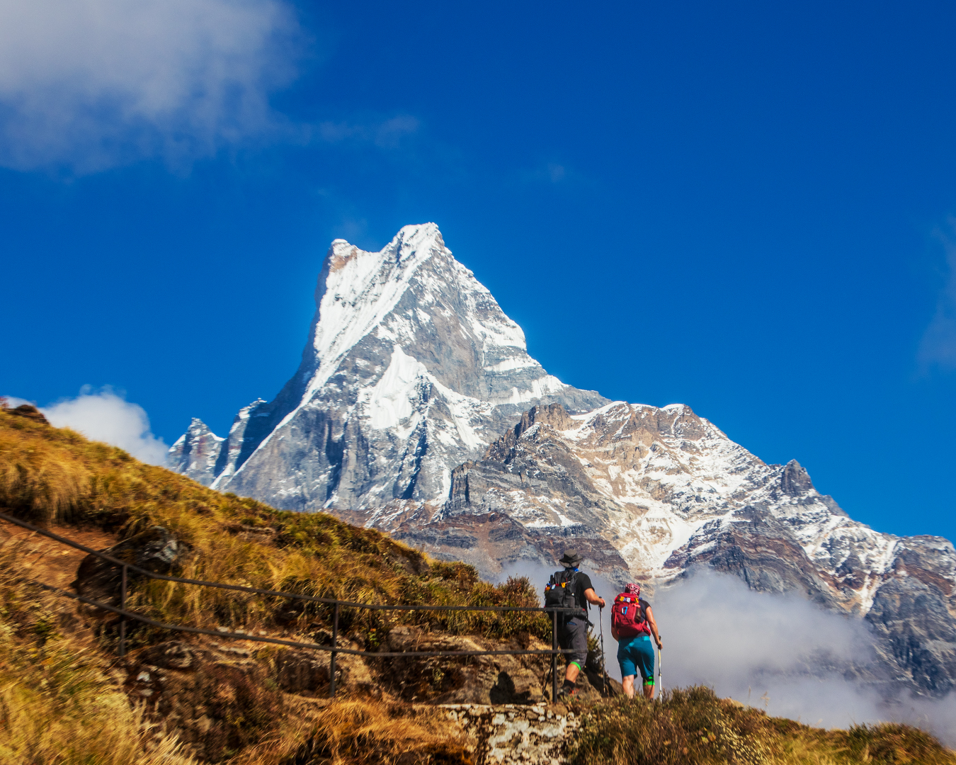 Short Mardi Himal Trek