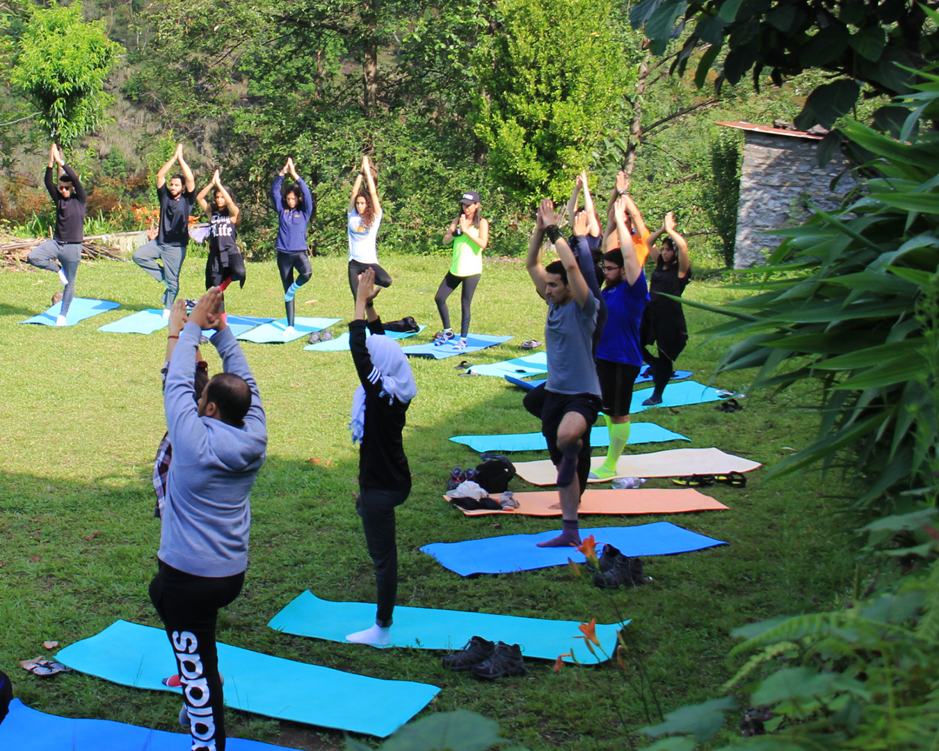 Yoga Nature Culture Tour