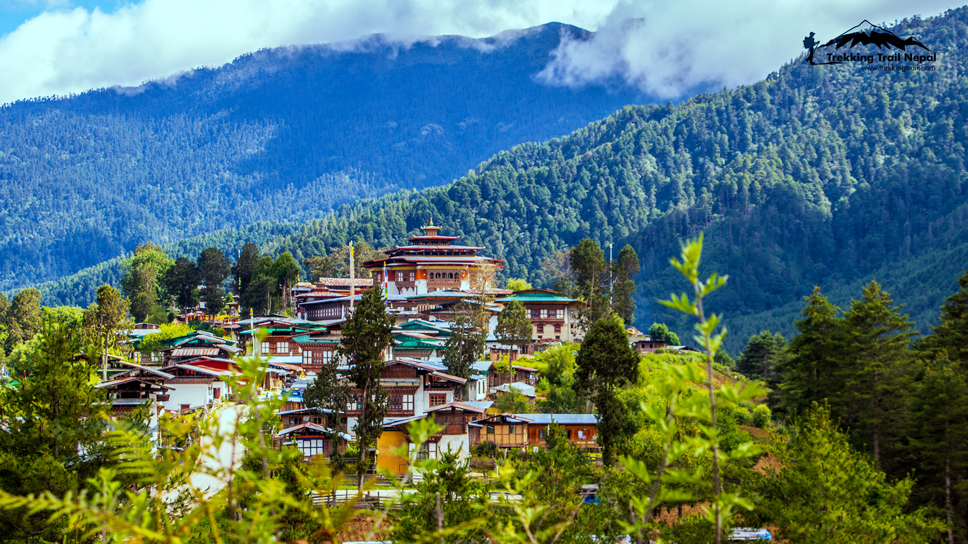 Bhutan Tours