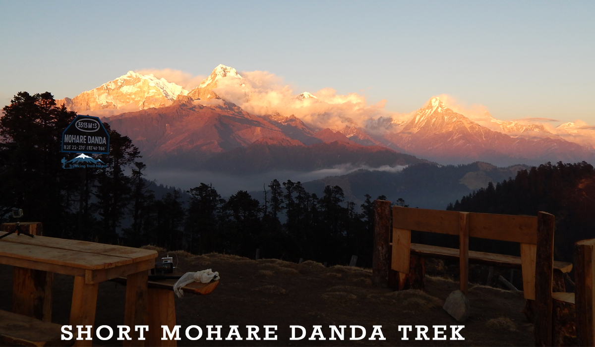 Mohare Danda Short Trek 5-6 Days