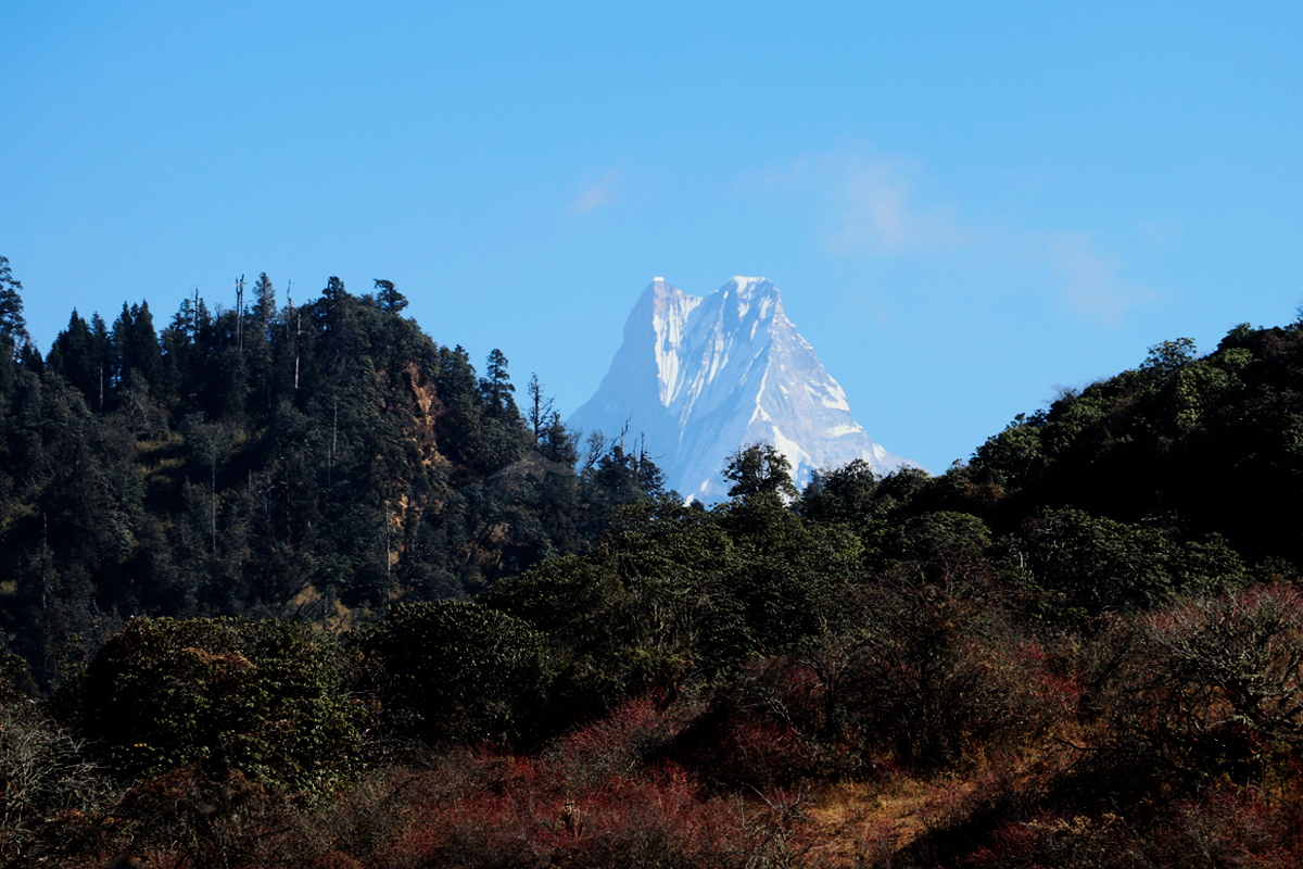 View from Khopra Short Trek - Day 3