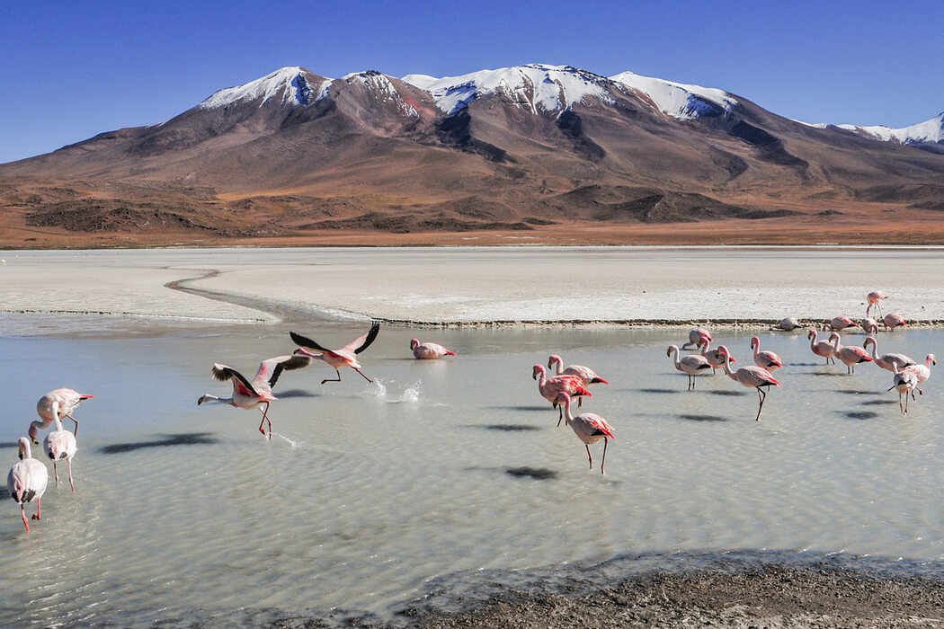 The Andes Mountain Range