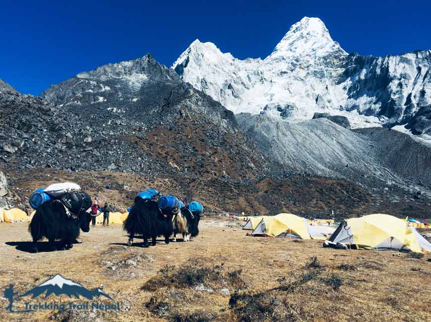 ama dablam base camp luxury trek