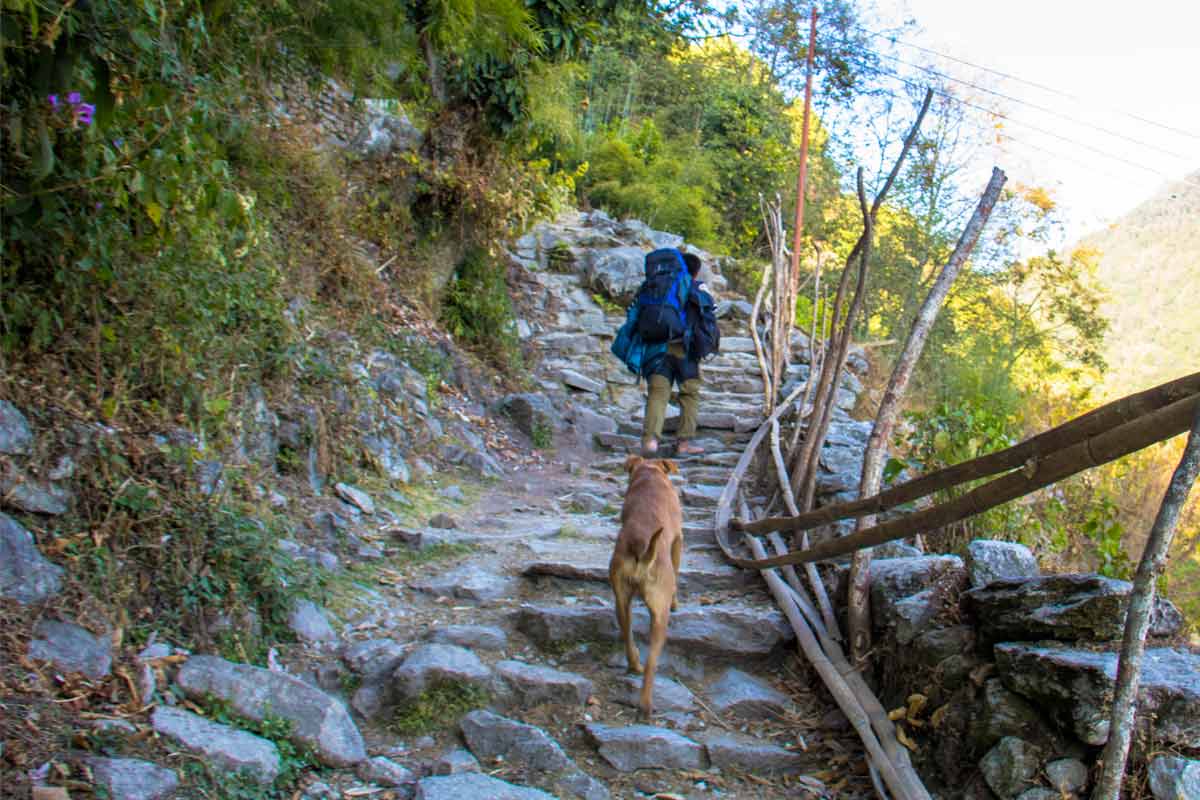 Annapurna Base Camp Trekking Route