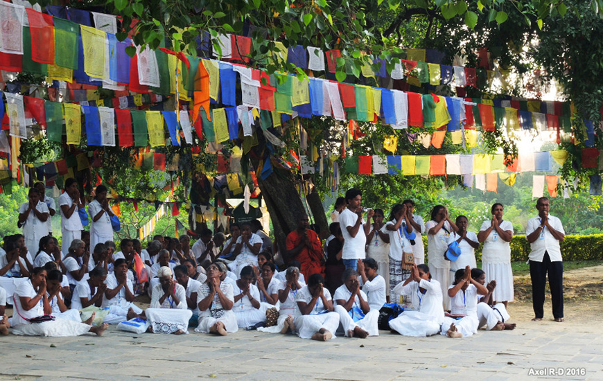 buddhist heritage tour