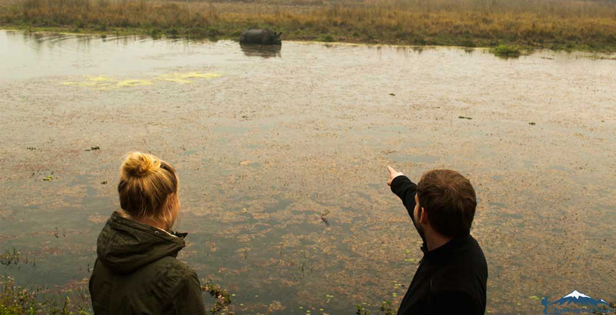 chitwan jungle activities