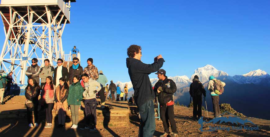 ghorepani poon hill trekking