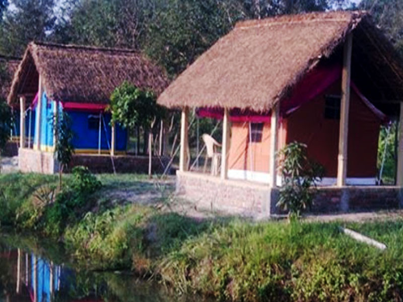 you camp in koshi tappu wildlife reserve near bank of koshi river