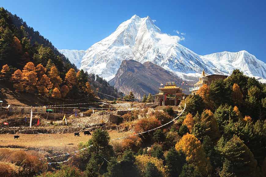 Manaslu Base camp Trek