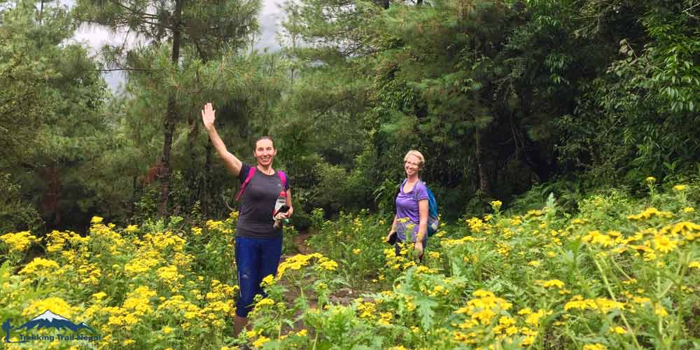 mohare danda trek in rainy season