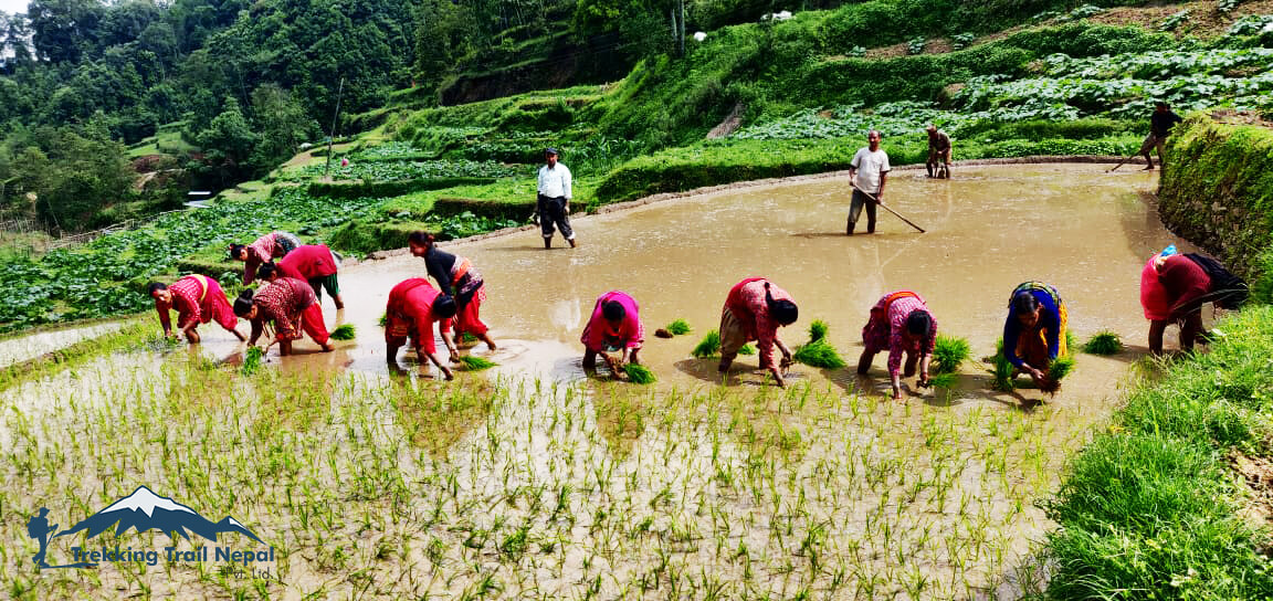 monsoon festival in nepal