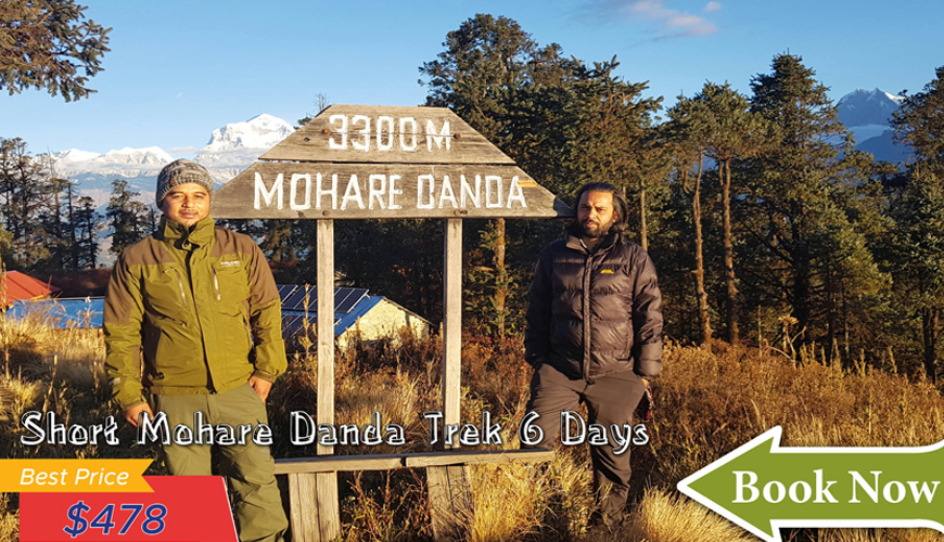 short mohare danda trek booking