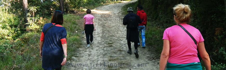 short treks hikes in nepal