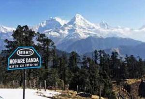 Mohare Danda Trekking Highlight