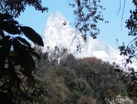 Fish Tail from Mardi Himal Trekking Trail