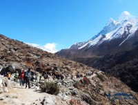 ama dablam trekkers and trekking trail