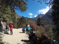 Amadablam Luxuryt Trek Itinerary Day 5