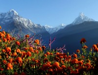 annapurna luxury trek view