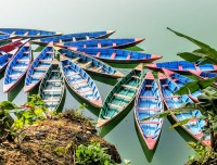 Boats in Phewa Lake