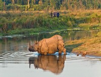 chitwan gay tour nepal