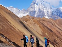 trekking to chomolhari base camp