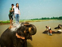 elephant bathing in chitwan national park