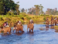 jungle safari in chitwan national park trekking trail nepal