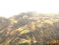 green field near by dhumphus sarangkot trek