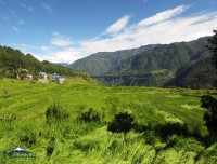 green field of baglung trekking