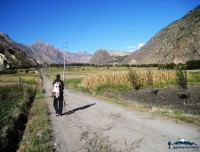 green valley of marpha