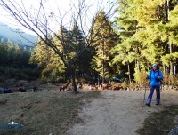 hiking trail to tiger nest bhutan
