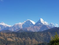 Himalayas and Nagi Village