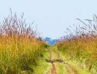 jeep safari trail of suklaphant wildlife reserve