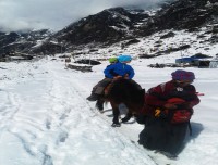 Little Trekkers in Langtang Valley Trekking