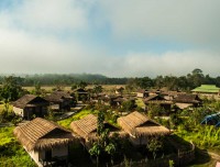 Luxury Natural Resort of Chitwan National Park