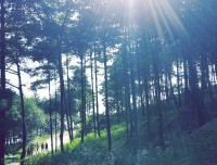 nagarkot hiking trail