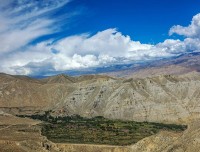 oasis of ghiling mustang