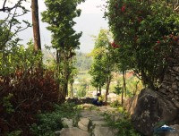 pokhara dhampus trekking