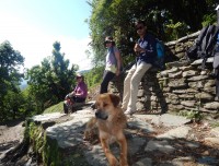 poon hill drive tour trekking trail