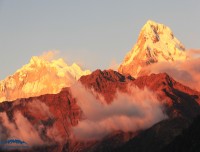 Sunset at Annapurna South from Short Mohare Danda Trek