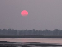 sunrise from bank of koshi river