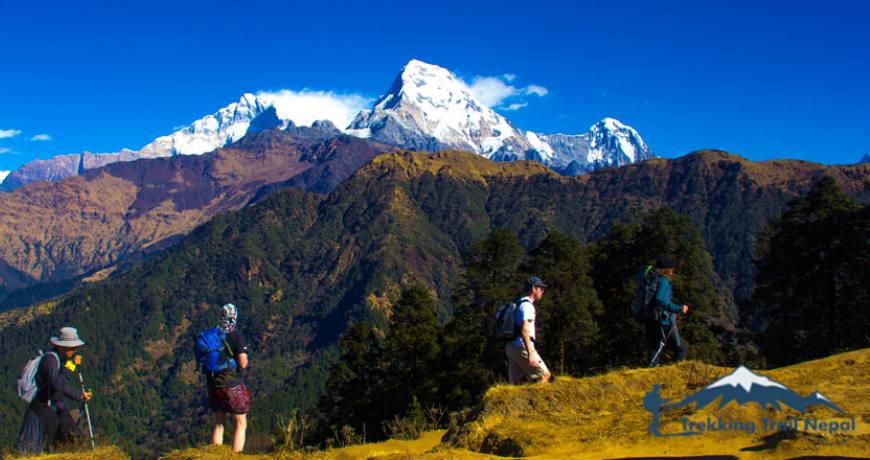 wonderful short treks in nepal