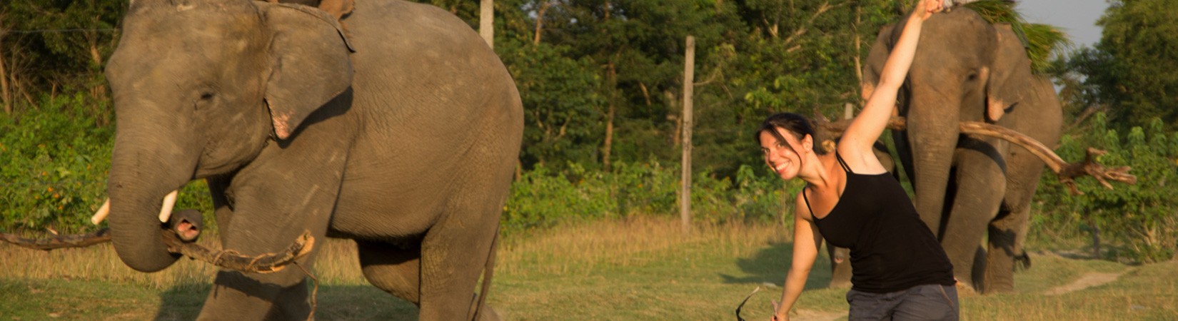 bardia national park