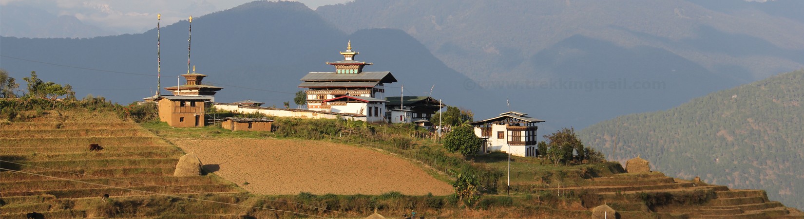 Buddhist Monastery, Terreced Field and Traditional Home in The Hiking Village of Punakha, Bhutan