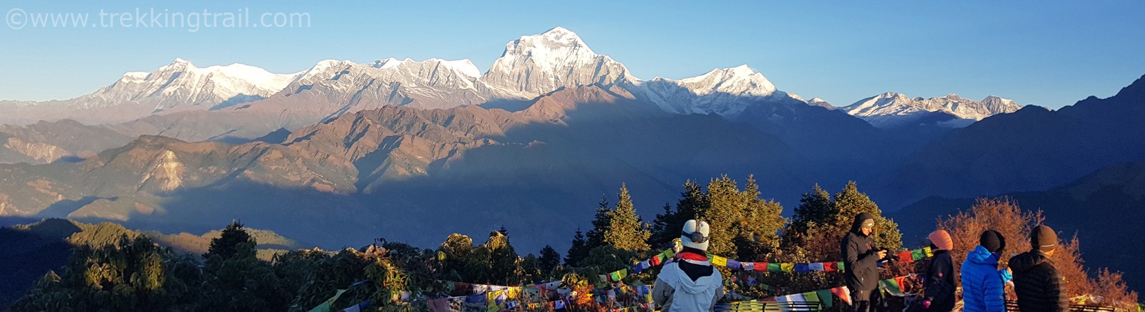 ghorepani poon hill trekking