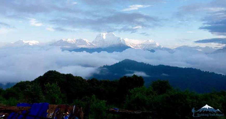 Mohare Danda Monsoon Trekking Nepal