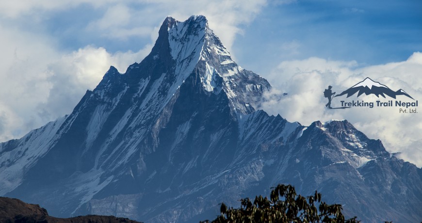 Mohare Danda Trek vs Mardi Himal Trekking